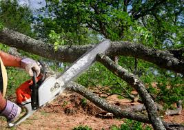 Best Lot and Land Clearing  in Randolph Af, TX